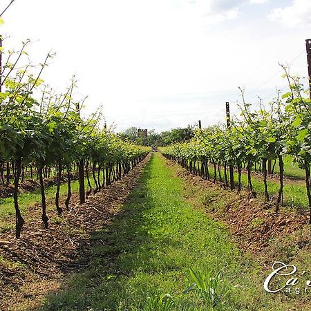 Agriturismo Ca'Mattei Pescantina Luaran gambar