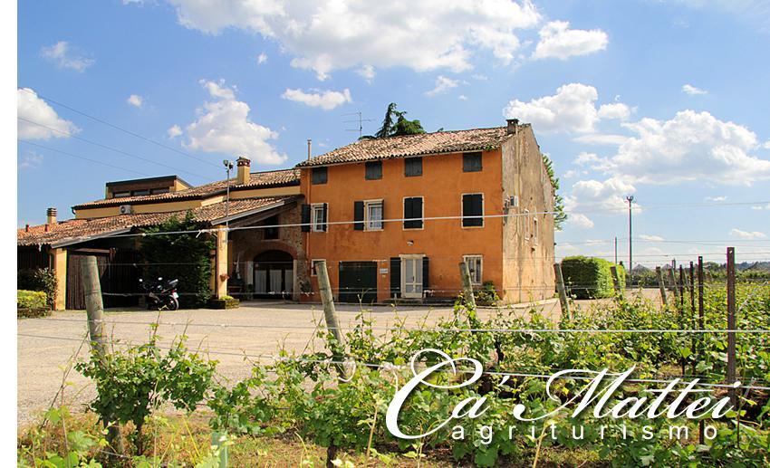 Agriturismo Ca'Mattei Pescantina Luaran gambar